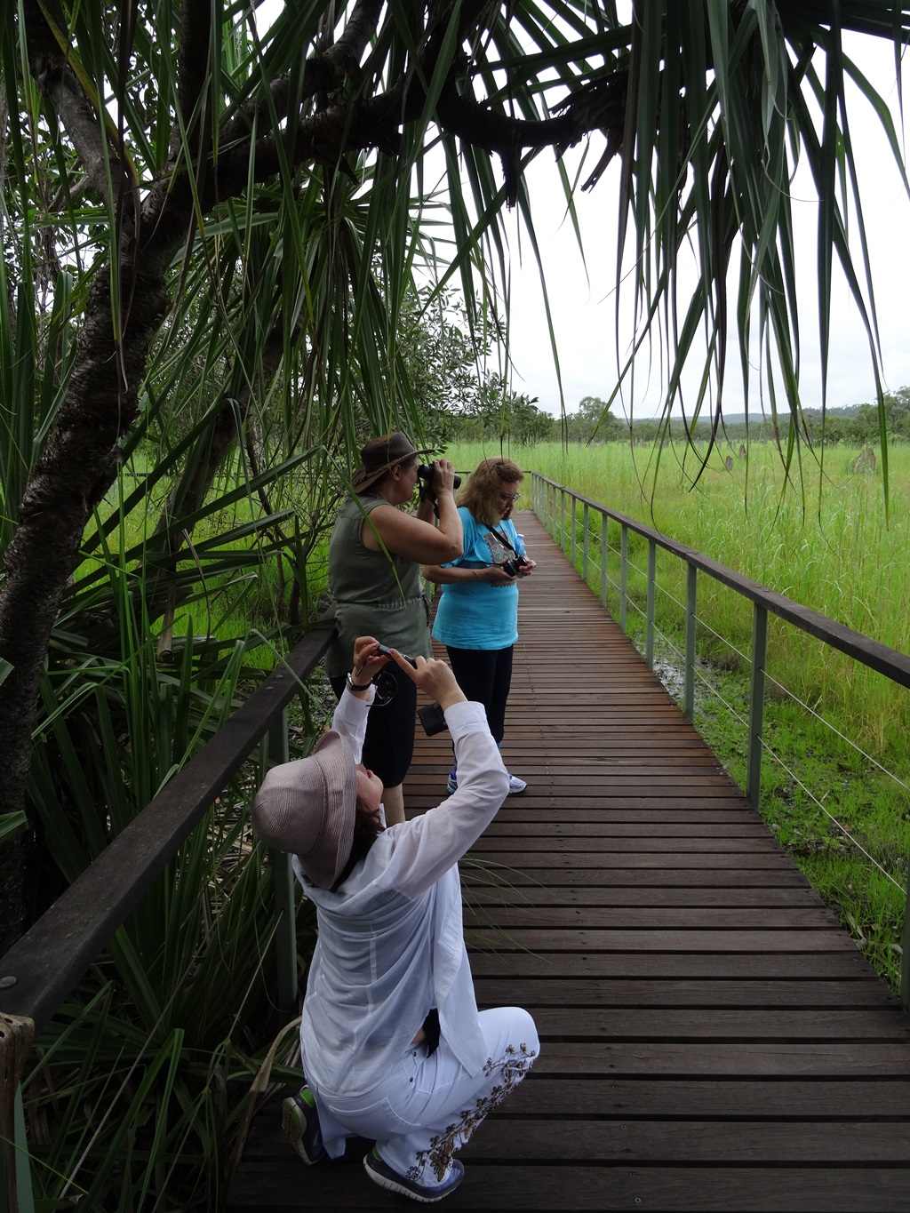 Margarita, Judy and Jenny capturing memories at the Litchfield Park magnetic termites boardwalk